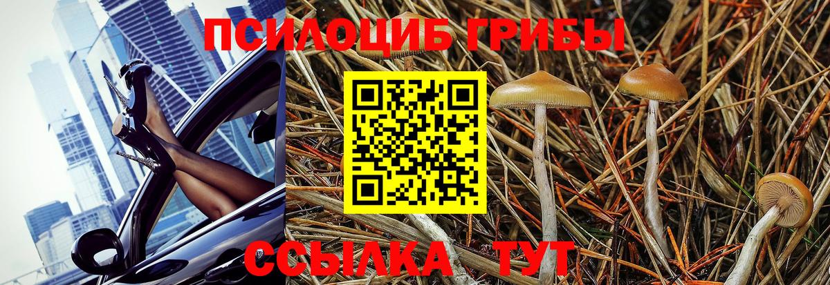 Псилоцибиновые грибы Magic Shrooms Мыски
