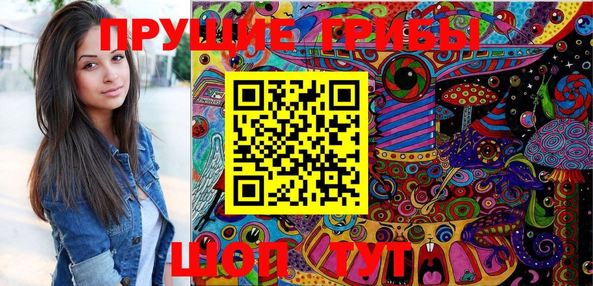 Галлюциногенные грибы Psilocybine cubensis  Вход с VPN  Галлюциногенные грибы ЛСД  купить  цена  Мыски 